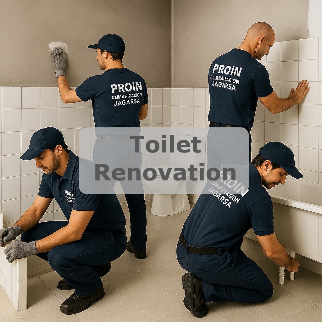 Toilet renovation